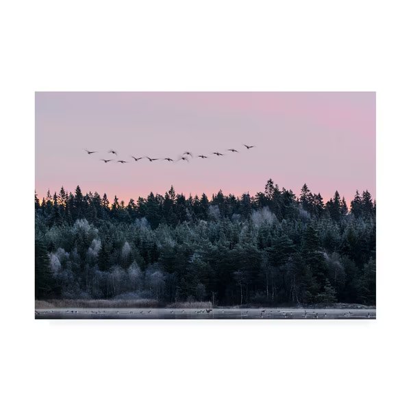 Bjorn Emanuelson 'Heading South' Canvas Art, 30x47, Trademark Fine Art, Mfr#: 1X08805-C3047GG